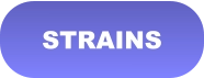 STRAINS