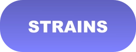 STRAINS